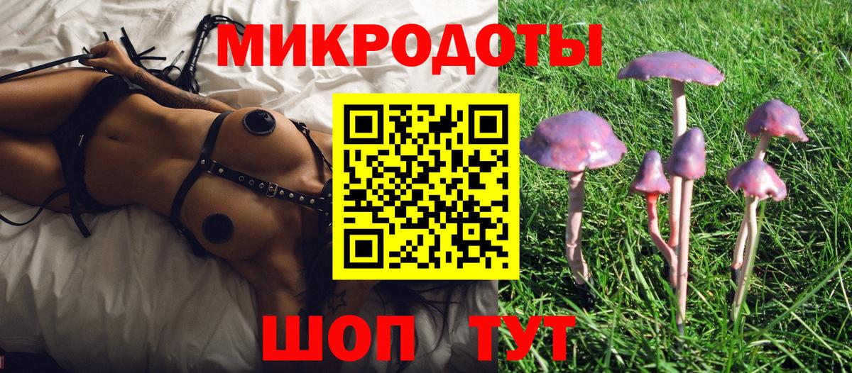 сколько стоит  Псилоцибиновые грибы прущие грибы  Вход с VPN  Коммунар 